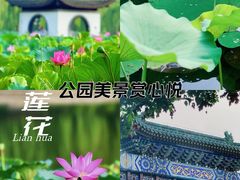 -陶然亭公园