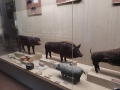 -中国农业博物馆