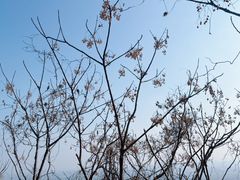 -圌山