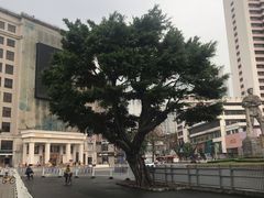 -喜茶(佛山顺德大良东乐路店)