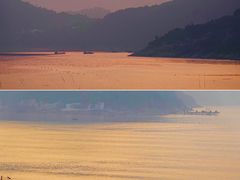 -北岐滩涂