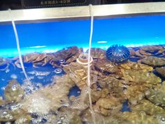-SEA西雅图海鲜自助餐厅(正义店)