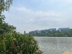 -华侨城湿地公园