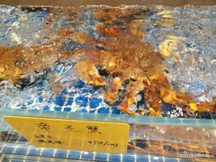 -上味·小海小鲜(中联店)