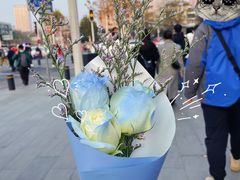 -循礼门鲜花花市(武汉循礼门店)