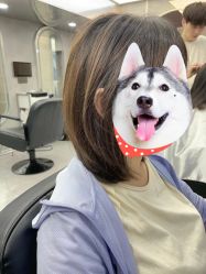 -DK SALON连锁专业烫染接发店
