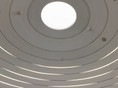 -喜茶(迪士尼小镇DP店)