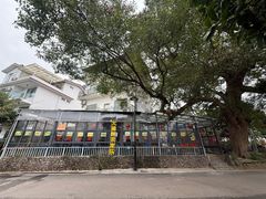 -遇龙河大樟树农家乐