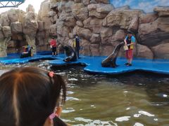 -华夏文旅海洋公园