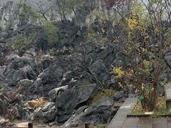 -千岛湖石林
