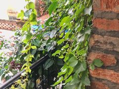-西关84·History·Art·Cafe