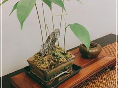 -王府茶宴(大观园总店)