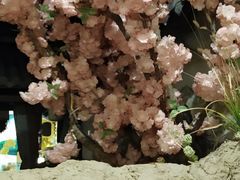 -淀里船宴(裕华东路店)