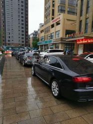 -蚂蚁婚车