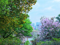 -四望岗公园