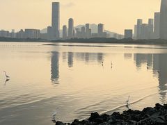-深圳湾公园(南山区)