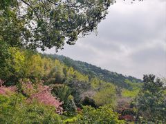 -九龙潭景区