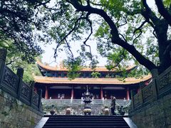 -普陀山风景名胜区-法雨禅寺