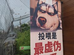 -武汉动物园