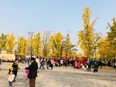 -百林公园-两江幸福广场