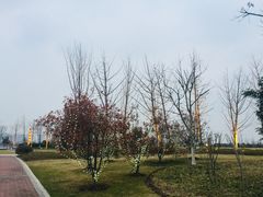 -南京眼步行桥
