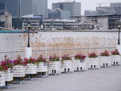 -上海山野camping·户外天幕烧烤·团建拓展营地