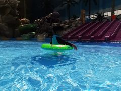 -青岛东方影都融创水世界