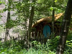 -峡谷浮石林景区