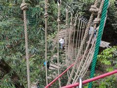 -衢州大荫山丛林飞越探险乐园