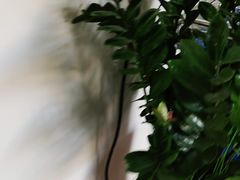 -张钰强中医正骨推拿连锁(唐家人才公寓店)
