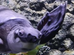 -欢乐海岸海洋奇梦馆
