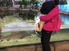 -鸿通城购物中心