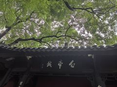 -白帝城·瞿塘峡景区