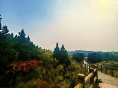 -白水寺森林公园