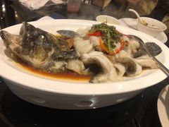 青花椒蒸龙胆鱼-闽和南(深圳万象城店)