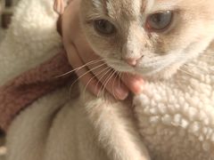 -平行世界·猫咖(首经贸店)
