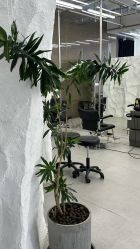-BOF HAIR BY HONTO