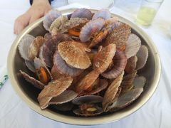 -宾朋海鲜美食特色餐厅·纯手工鲅鱼水饺(兴海路店)