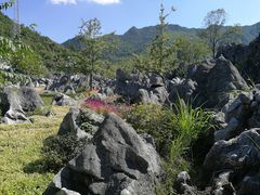 -千岛湖石林