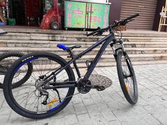 -道路口单车爱瓦士dahon大行