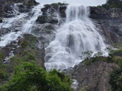 -广州白江湖森林公园