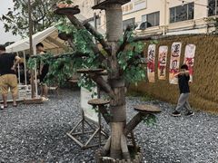 -DGE季风钓虾营地·团建·聚会