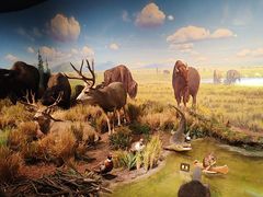 -陕西自然博物馆