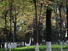 -重庆市江北嘴中央商务区中央公园