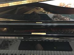 -弘智卉艺术教育/高端琴房(中央音乐学院店)