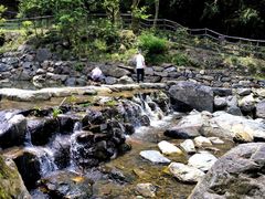 -石台牯牛降景区