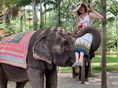 -西双版纳傣族园