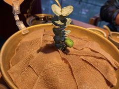 -巴奴毛肚火锅(二七万达店)
