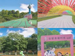 -秀丽东方
