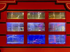 -东富酒家(龙湖西溪天街店)